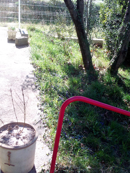 emplacement du futur jardin